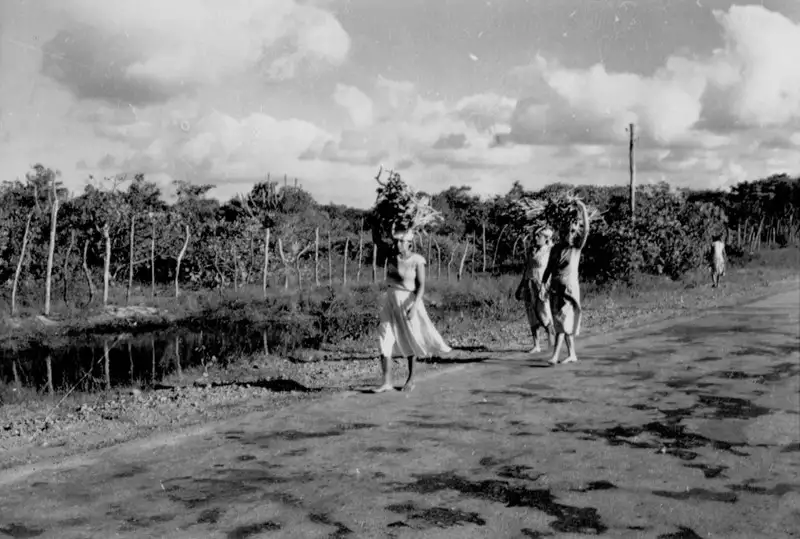 Foto 151: Mulheres carregando lenha em João Pessoa (PB)