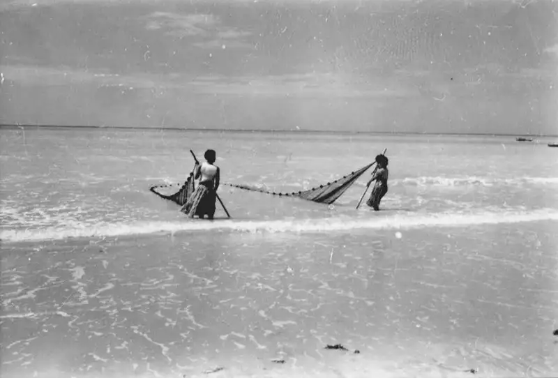 Foto 164: Mulheres pescando camarão com rede na Praia de Tambaú em João Pessoa (PB)