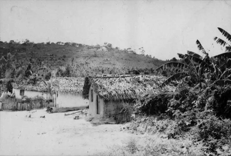 Foto 2: Plantação de maracujá na Localidade de Terra Vermelha em Amaraji (PE)
