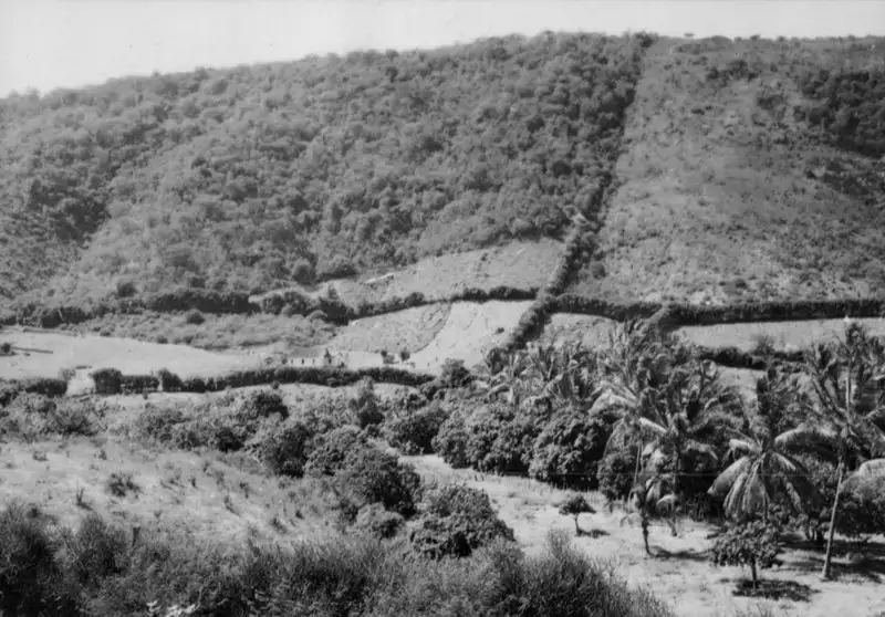 Foto 5: Pequenas propriedades agrícolas do brejo do Vale de Mimoso em Arcoverde (PE)