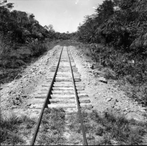 Foto 1: Mudança dos dormentes da estrada de ferro no Km 263 (RO)