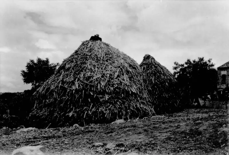 Foto 10: Bagaços de cana-de-açúcar em Triunfo (PE)
