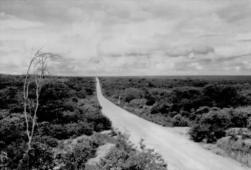 Foto 1: Estrada para Picos em Alegrete do Piauí (PI)