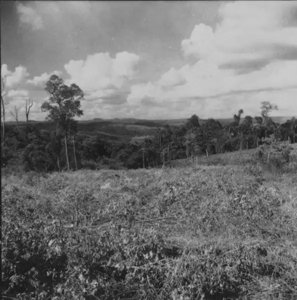 Foto 7: Relevo, vista na direção norte, notando-se o vale do Ribeirão Barra Nova, no distrito de Pirapó : Município de Apucarana (PR)