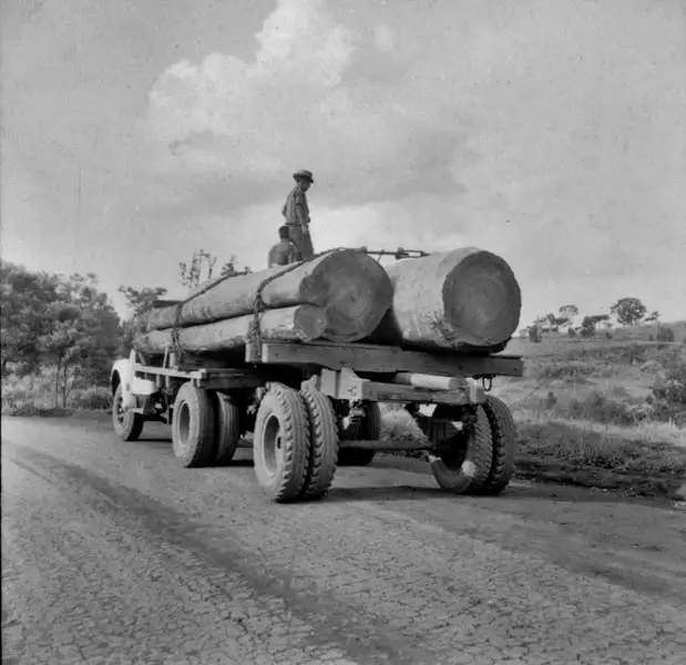 Foto 5: Caminhão transportando madeira : Município de Campina Grande do Sul (PR)