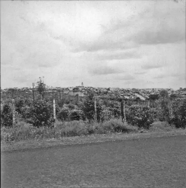 Foto 6: Vista parcial da cidade de Cornélio Procópio (PR)