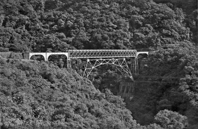 Foto 175: Viaduto da Rede de Viação Paraná - Santa Catarina : Serra do Mar (PR)