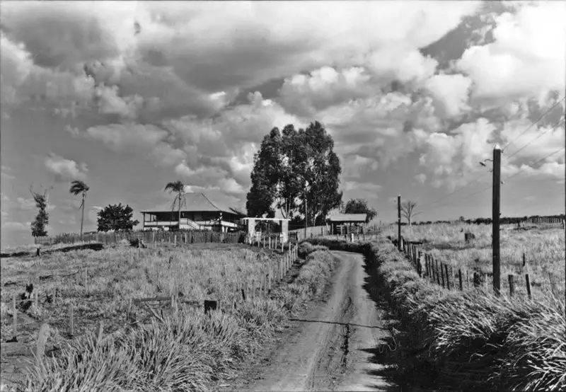 Foto 1: Sede da fazenda Sete Quédas no município de Mandaguaçu (PR)