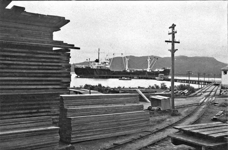 Foto 9: Porto de Paranaguá : transporte de madeira (PR)