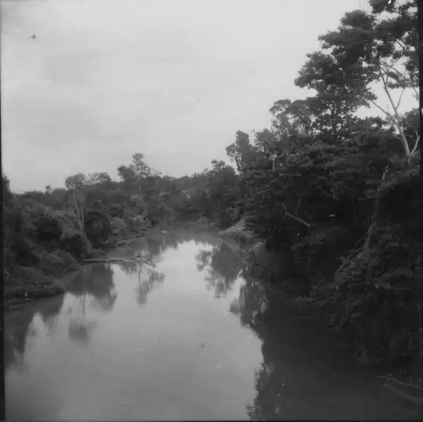 Foto 1: Rio Congonhas, vendo-se à margem, vestígios da floresta tropical. Direção geral W. Sertaneja, cultura de Rami : Município de Rancho Alegre (PR(