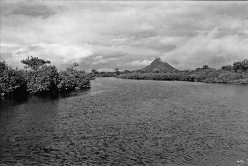 Foto 2: Pontão litorâneo, a vegetação ao lado do rio é tipo mangue (RJ)