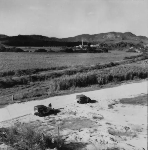Foto 95: Usina, vendo-se em 1º plano canavial, no caminho para a cidade de Campos.