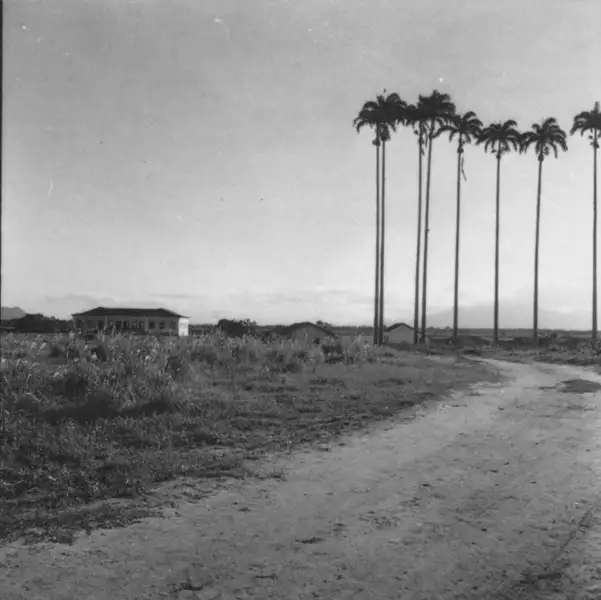 Foto 98: Fazenda com senzala (escravidão) no passado, na estrada para cidade de Campos (RJ)