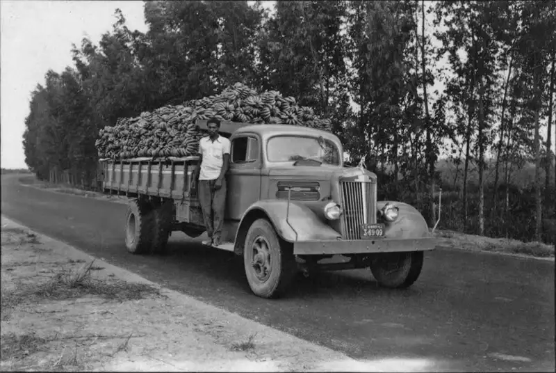 Foto 1: Caminhão carregado de bananas, vindo do município Casimiro de Abreu (RJ)