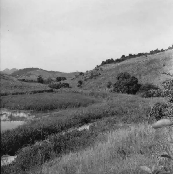 Foto 8: Dolina ocupada com cultivo de cana e arroz. No centro água, à direita, a taboca (200m) : Município de Itaocara (RJ)