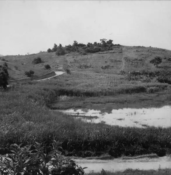 Foto 10: Dolina ocupada com cultivo de cana e arroz. No centro água, à direita, a taboca (200m) : Município de Itaocara (RJ)