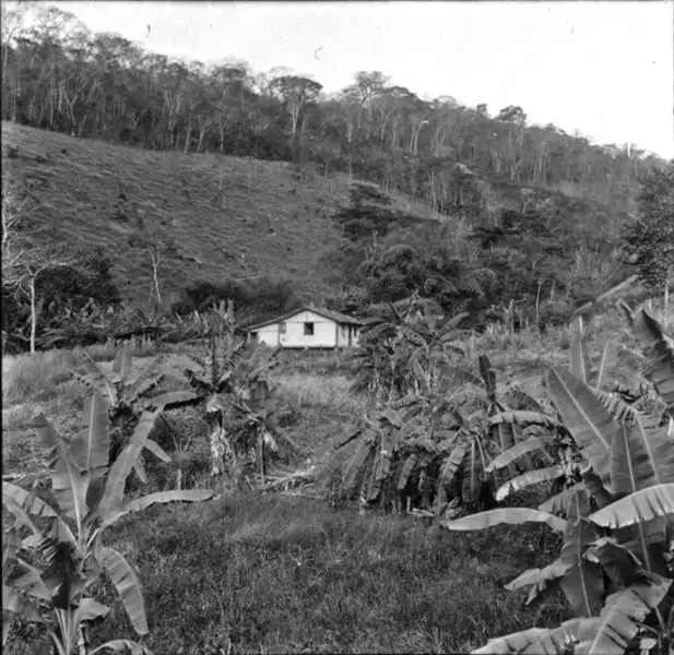 Foto 4: Casa de agricultor depois de Macuco (RJ)