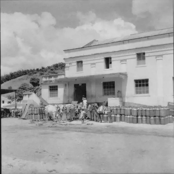 Foto 9: Cooperativa Agro-pecuária de Macuco Ltda. (1949) O leite é transportado por caminhões em latões : Município de Macuco (RJ)