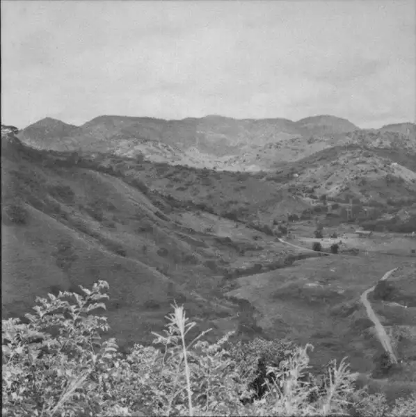 Foto 12: Topografia ondulada e sede de fazenda ao fundo de um vale : encosta com plantação de cana a direita : Município de Macuco (RJ)