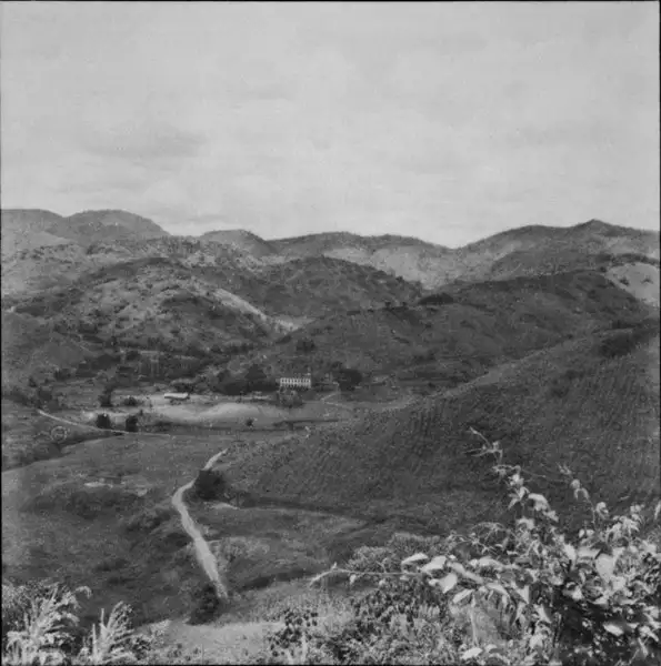 Foto 13: Topografia ondulada e sede de fazenda ao fundo de um vale : encosta com plantação de cana a direita : Município de Macuco (RJ)