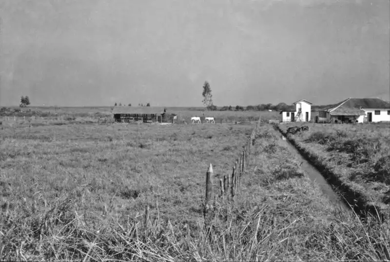 Foto 63: Sede de uma fazenda com o curral próximo, Vila da Liberdade, próximo a Magé (RJ)