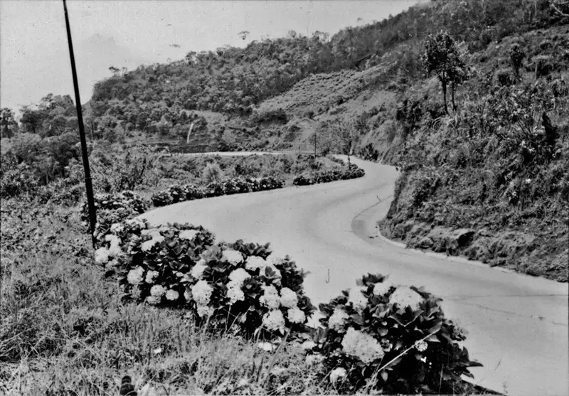 Foto 1: Aspecto da estrada de Teresópolis : Petrópolis (RJ)