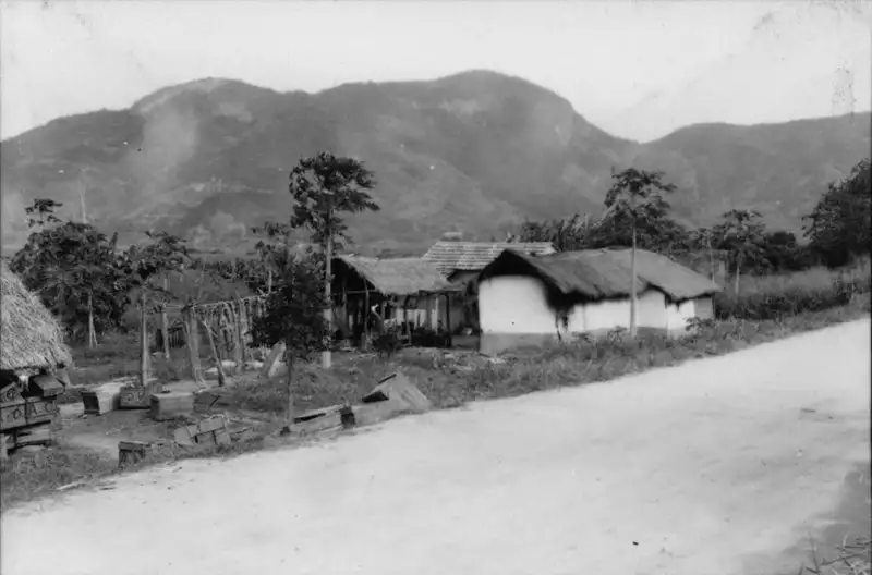 Foto 79: Casa de feirante, na zona rural : Jacarepaguá (RJ)