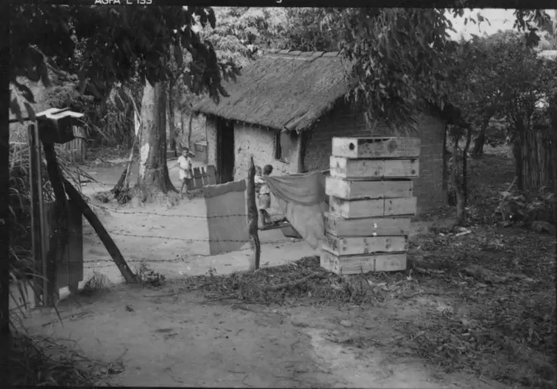 Foto 90: Casa do trabalhador rural : Jacarepaguá (RJ)