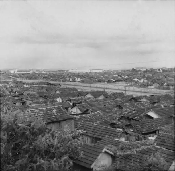 Foto 486: Aspecto geral da favela de Brás Pina (RJ)