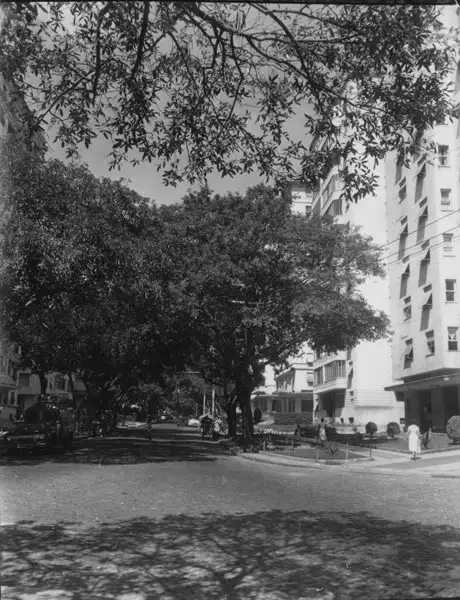 Foto 913: Rua General Glicério : Jardim Laranjeiras (RJ)
