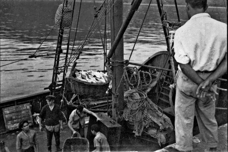 Foto 1017: O peixe é retirado do navio pesqueiro e colocado em caminhões que os transporta para a Guanabara (SP)