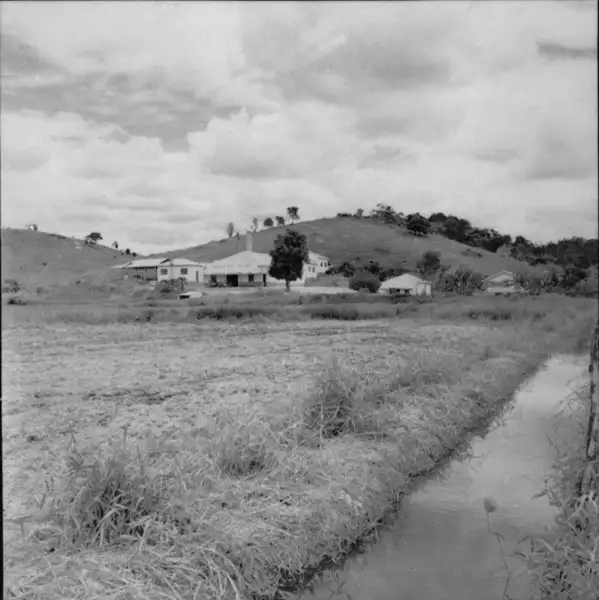 Foto 2: Fábrica de papel Sta. Marta, vendo-se arroz e bagaço de cana. M. Santo Antônio de Pádua.