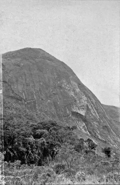 Foto 9: Morros castigados pela erosão fluvial ao lado da estrada de Teresópolis (RJ)