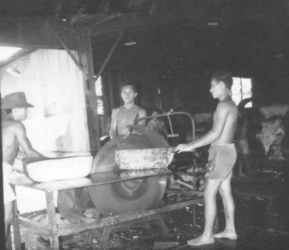 Foto 202: Máquina para cortar borracha em Porto Velho (RO)