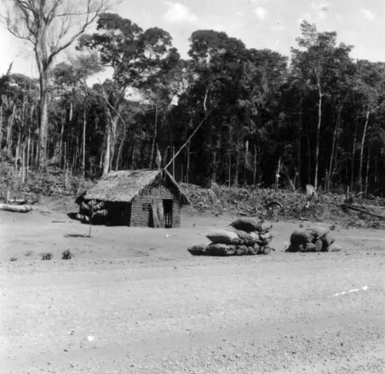 Foto 210: Sacos de carvão, casas de sopapo coberta de palha e derrubada na estrada para Abunã em Porto Velho (RO)