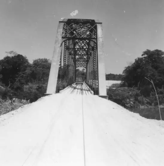 Foto 213: Ponte metálica ferroviária sobre o rio Jaci-Paraná (Estrada de Ferro Madeira-Mamoré) (RO)