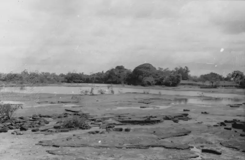 Foto 179: Afloramento de blocos de canga perto do Rio Tacutu (RR)