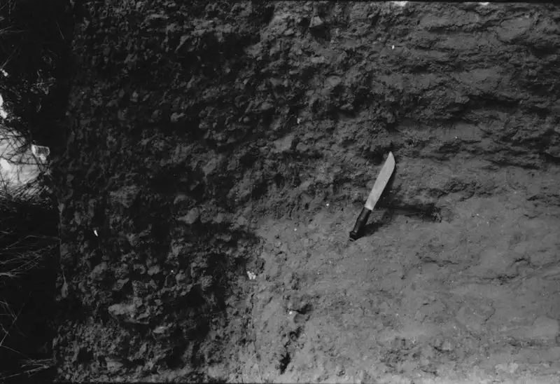 Foto 184: Escavamento do solo perto de Boa Vista (RR)