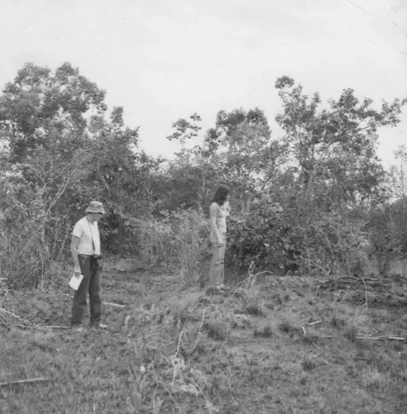 Foto 3: Árvores e arbustos sobre murundus numa campinarana do ramal de Cachoeirinha situada a 2 km da junção deste com a BR 174 no distrito de Mucajaí (RR)