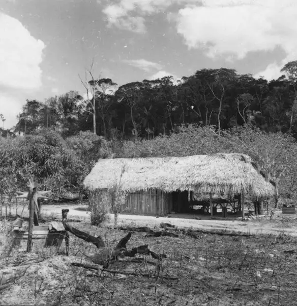 Foto 9: Casa de colono em Cachoeirinha distrito de Mucajaí, vendo-se queimada, capoeira e mata (RR)