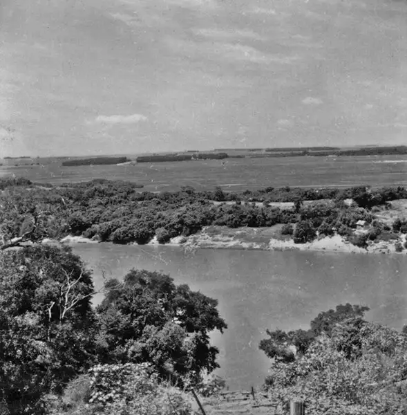 Foto 2: Vista da planície de arroz : Município de Cachoeira do Sul