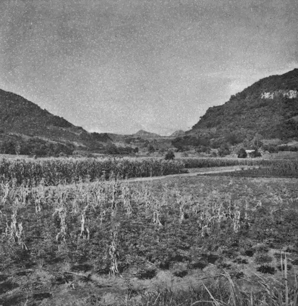 Foto 22: Vista panorâmica do Vale do Caí junto à estrada de Caxias de Sul para Porto Algre (RS)