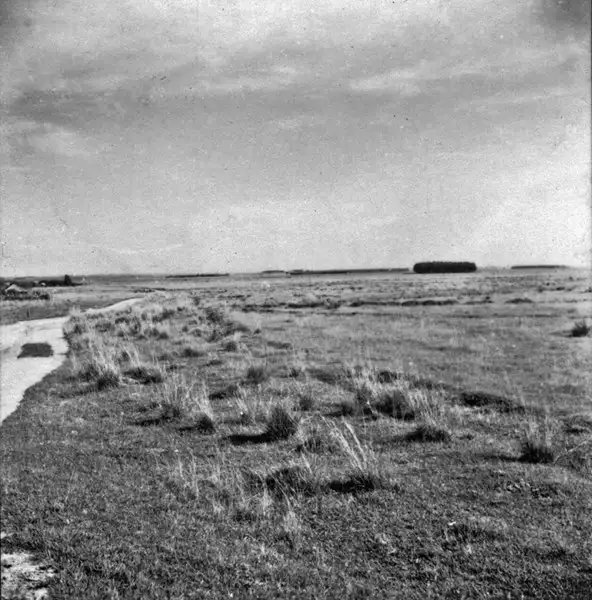 Foto 10: Vista do pasto na granja Sta. Cecília : M. de Pelotas (RS)