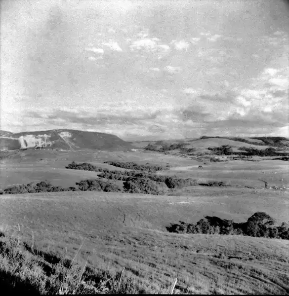 Foto 1: Vista dos campos na estrada de Lajes-Vacaria (SC)