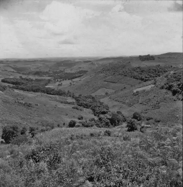 Foto 1: [Plantação em vale situado 10 milhas após Joaçaba, na direção de Campos Novos (SC)]