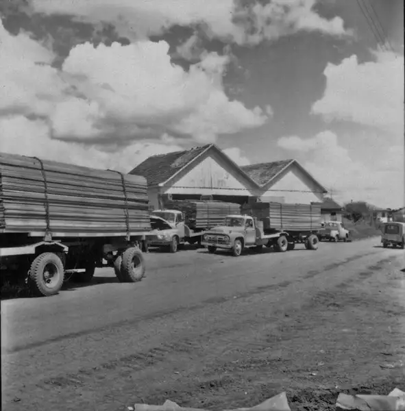 Foto 15: Caminhões carregados com tábuas de pinho no município de Campos Novos (SC)