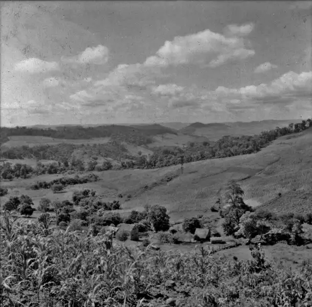 Foto 47: Vista de amplo vale com plantações (SC)