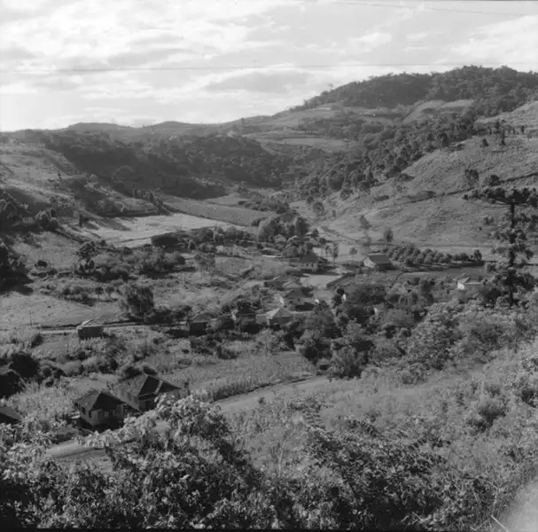 Foto 22: Aspecto de encostas e vales cultivados : município de Concórdia