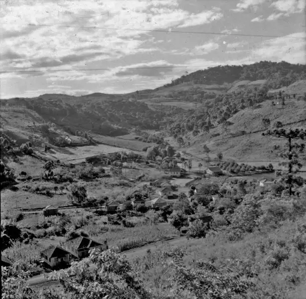 Foto 24: Aspecto de encostas e vales cultivados : município de Concórdia