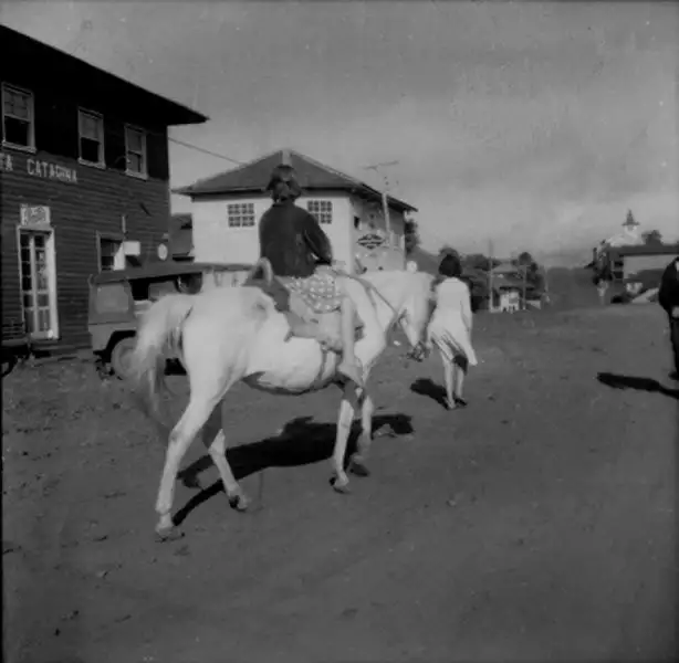 Foto 13: Uma mulher montada a cavalo (SC)